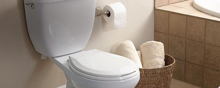 water efficient toilets | eco options at the home depot